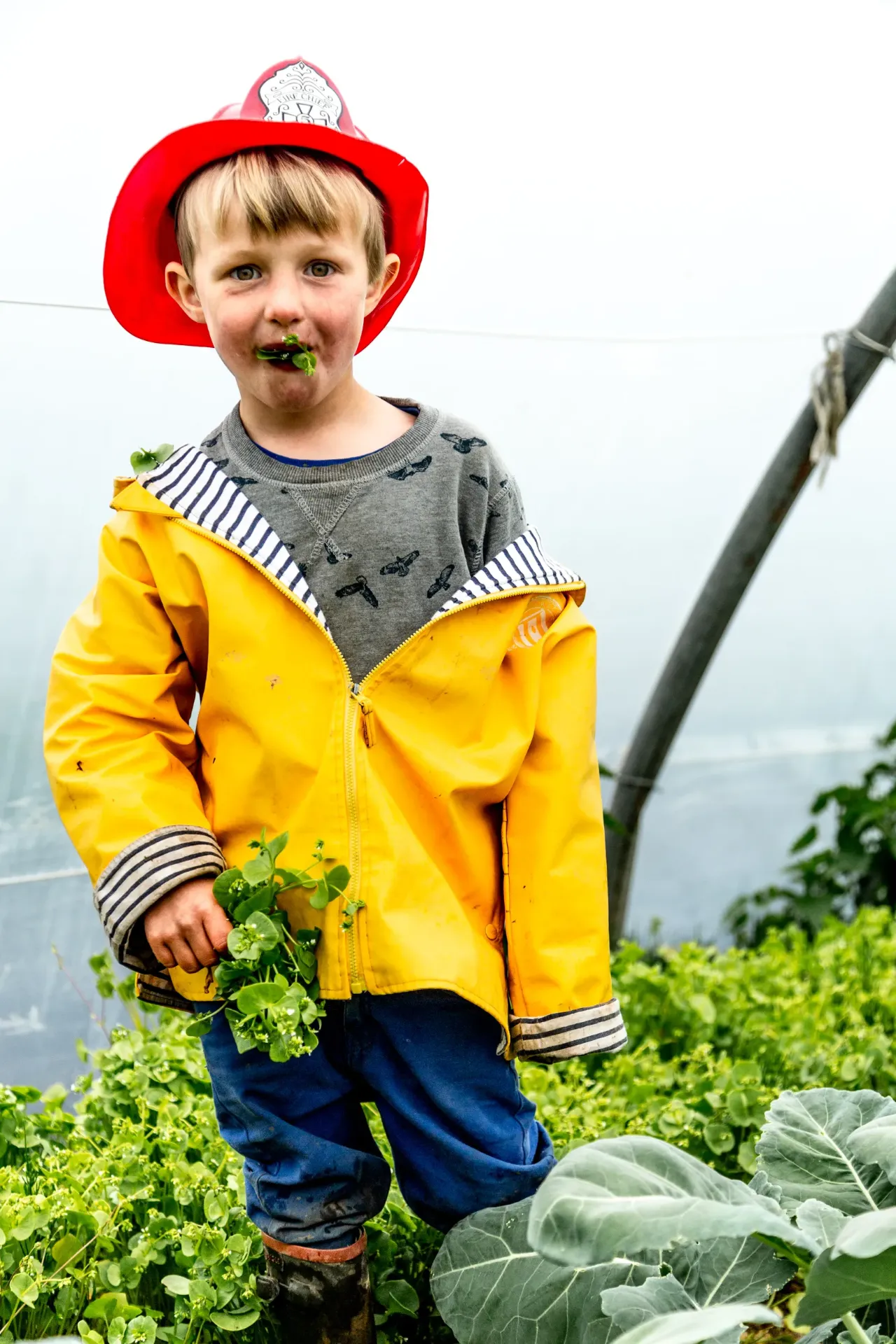 Oogst zelf je groenten - kinderen (❍ 1 jaar, €/ maand)