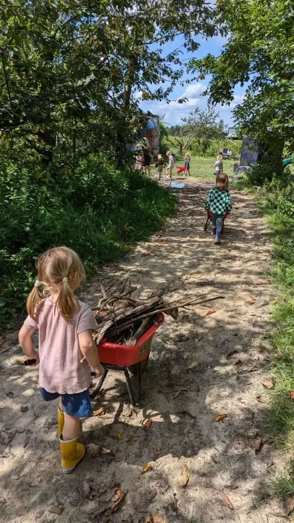 Oogst zelf je groenten - kinderen (❍ 1 jaar, €/ maand)